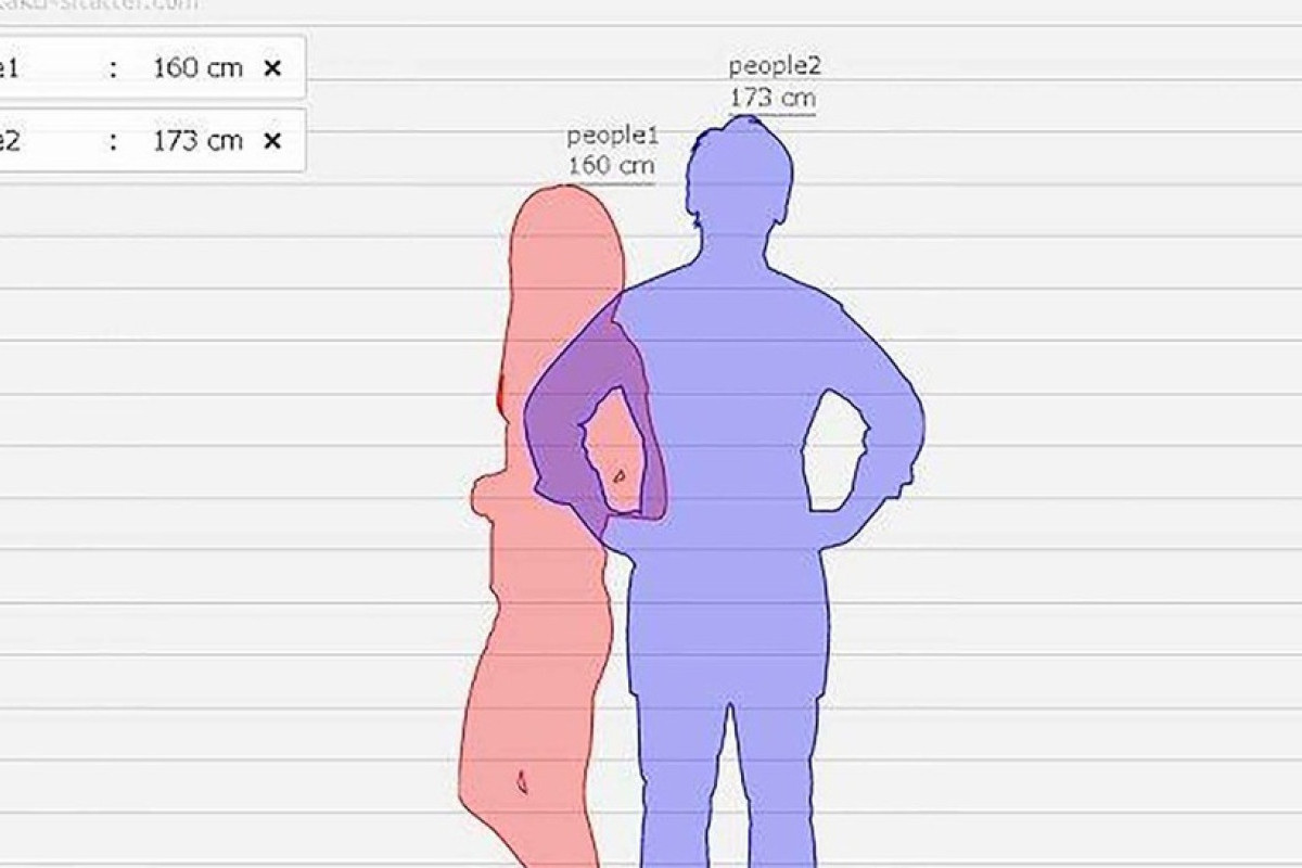 Situs Hikaku Sitatter Viral di Media Sosial: Cara Membandingkan Tinggi Badan Secara Online